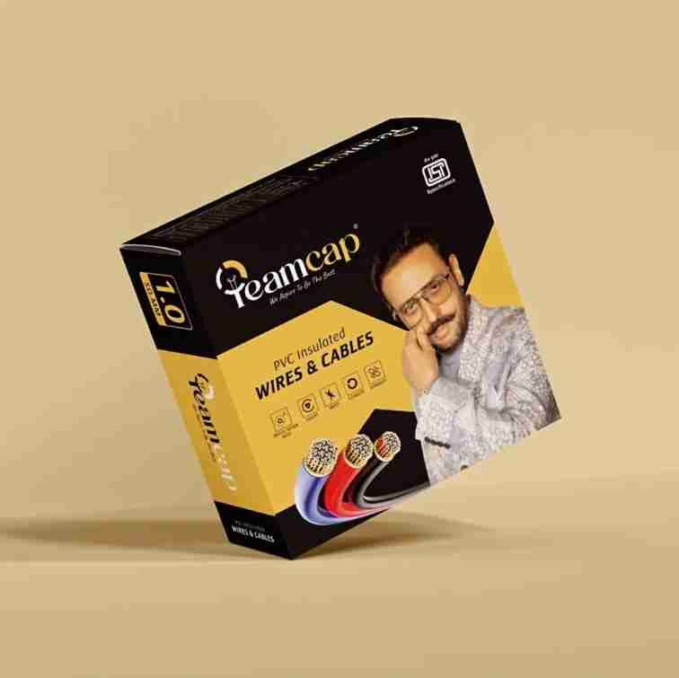 Celebrity brand endorsements